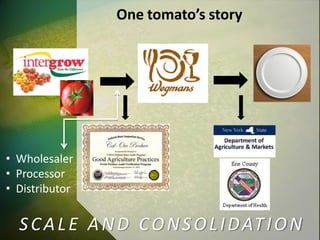 One tomato’s story
• Wholesaler
• Processor
• Distributor
SCALE AND CONSOLIDATION
 