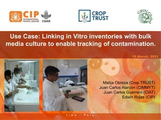 L i m a - P e r u
15 March, 2021
Use Case: Linking in Vitro inventories with bulk
media culture to enable tracking of contamination.
Matija Obreza (Crop TRUST)
Juan Carlos Alarcon (CIMMYT)
Juan Carlos Guerrero (CIAT)
Edwin Rojas (CIP)
 