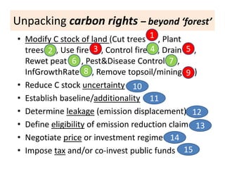 REALU: Linking REDD+ and NAMA Approaches