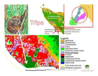 REALU: Linking REDD+ and NAMA Approaches
