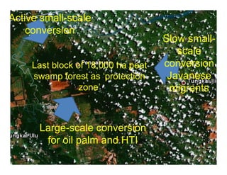 REALU: Linking REDD+ and NAMA Approaches