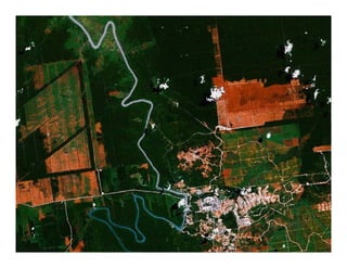 REALU: Linking REDD+ and NAMA Approaches