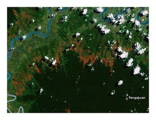 REALU: Linking REDD+ and NAMA Approaches