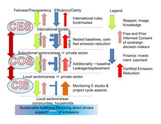 REALU: Linking REDD+ and NAMA Approaches