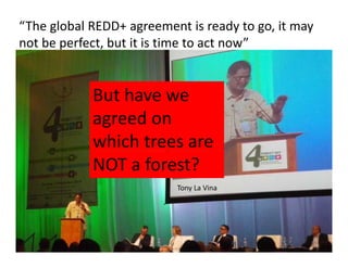 REALU: Linking REDD+ and NAMA Approaches