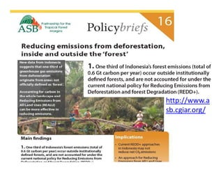 REALU: Linking REDD+ and NAMA Approaches