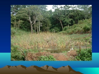 Linking research in nrm