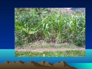 Linking research in nrm