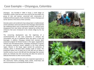 Case Example – Chiyangua, Colombia
Chiyangua was founded in 1994 in Guapi, a small village on
Colombian’s pacific coast line and is the result of the local effort of a
group of men and women, concerned with conservation of
traditional ethnical aspects of afro Colombian culture. Chiyangua put
farmer women in the centre of their activities.
Aromatic plants and condiments have always been a traditional part
of afro Colombian culture but with the time Chiyangua observed that
the traditional plants such as long leaved coriander more and more
disappeared from local dishes and were replaced by artificial food
enhancers that were introduced to the remote village by the city
people.

This concerning development was the beginning of a
countermovement of the local promotion to enhance the
consumption and use of traditional herbs and spices in food and
beverages. In addition, Chiyangua initiated their aromatic plant
production program for female farmers in the region. Supported by
national and international grants, Chiyangua introduced to farmers
an innovative production system adapted to the flood afflicted
region. Women in the Guapi region started the production of
aromatic plants in elevated beets (2x10m) made of wood. This
production system has an initial cost of US$ 100 and can deliver a
monthly income of up to US$ 200 with the advantage that aromatic
plants are relatively low time consuming and allow the women to
dedicate themselves to other income activates.
Chiyangua is locally well known and a very respected organization in
the community mainly providing inputs (seeds, know-how) and
technical assistance to currently 84 female farmers.

73

 