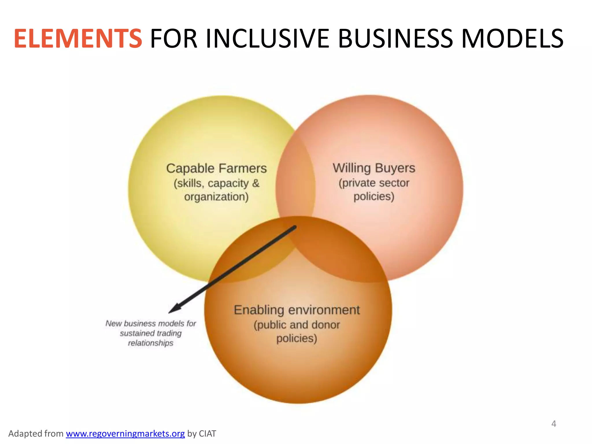 ELEMENTS FOR INCLUSIVE BUSINESS MODELS




                                                  4
Adapted from www.regoverningmarkets.org by CIAT
 