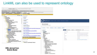 LinkML can also be used to represent ontology
28
OWL derived from
Biolink Model
 