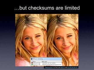 …but checksums are limited
―Hashing Emily‖ by Flickr user wlef70 under CC BY-NC-SA 3.0
 