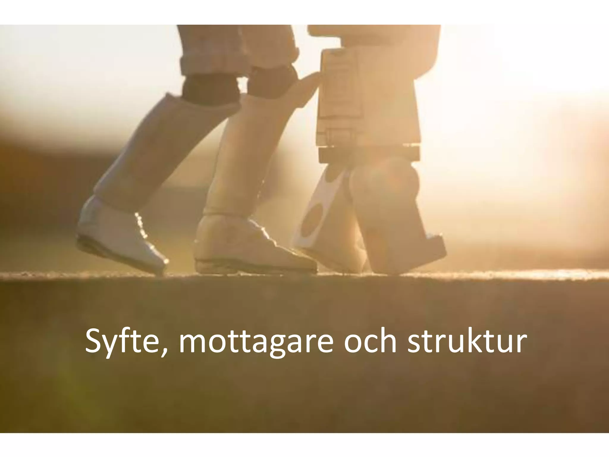 Syfte, mottagare och struktur
 