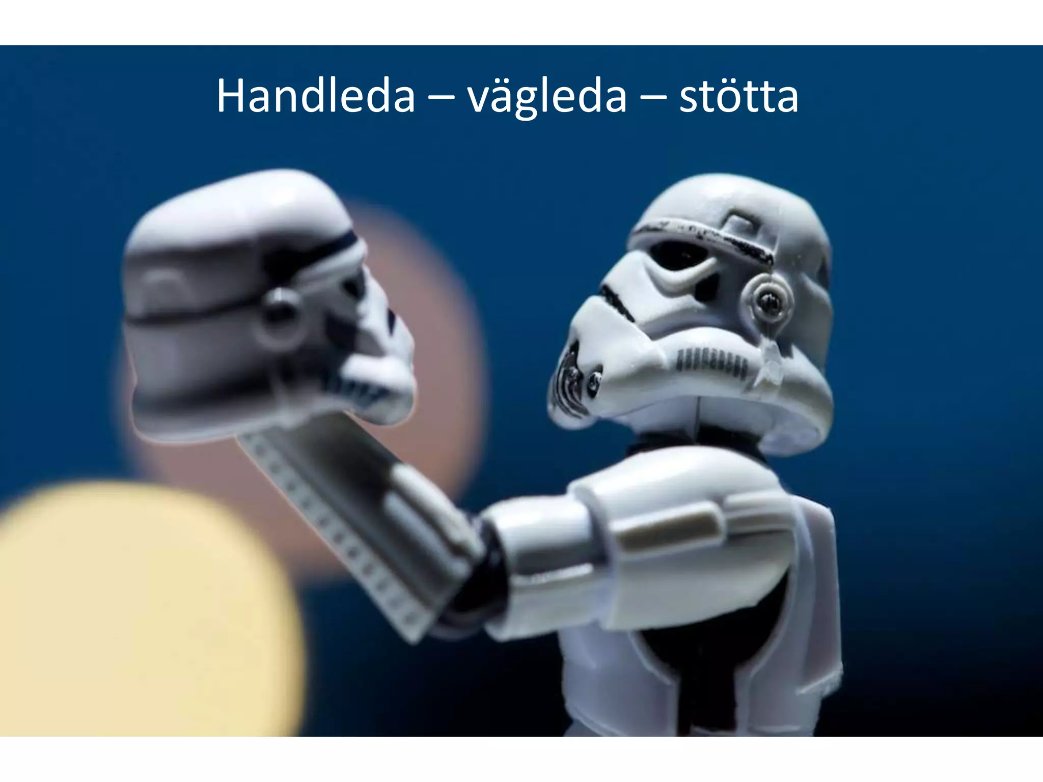 Handleda – vägleda – stötta
 
