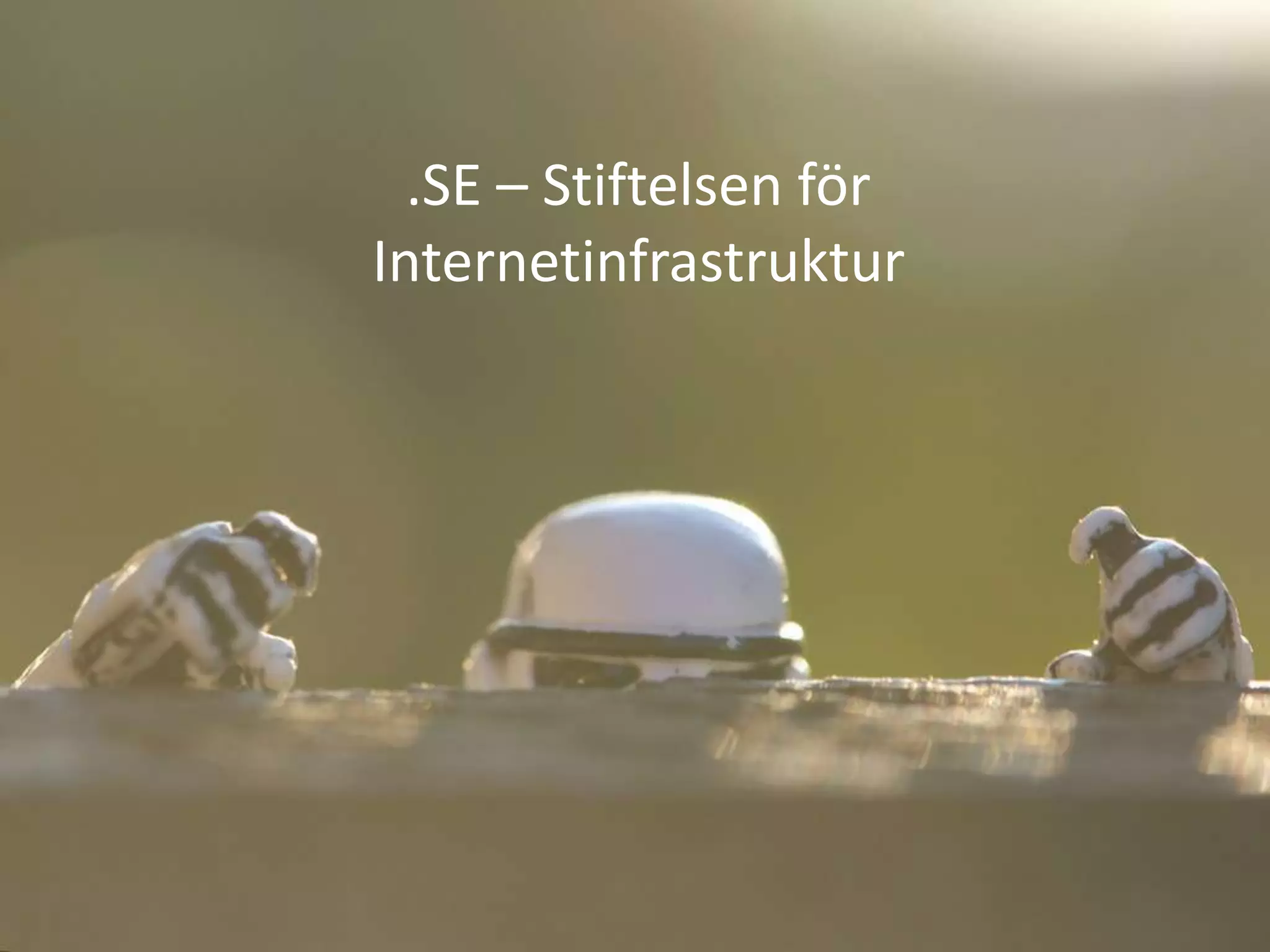 .SE – Stiftelsen för
Internetinfrastruktur
 