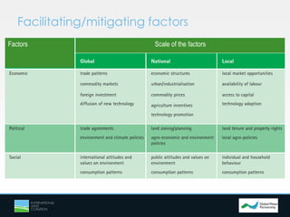 Facilitating/mitigating factors
Factors Scale of the factors
 