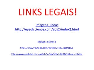 Imagens  lindashttp://eyeofscience.com/eos2/index2.html LINKS LEGAIS! Meiose  e Mitose http://www.youtube.com/watch?v=rdUZqQXQtCc http://www.youtube.com/watch?v=5gV5OML7jtA&feature=related 