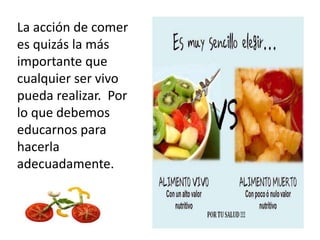 La acción de comer
es quizás la más
importante que
cualquier ser vivo
pueda realizar. Por
lo que debemos
educarnos para
hacerla
adecuadamente.
 