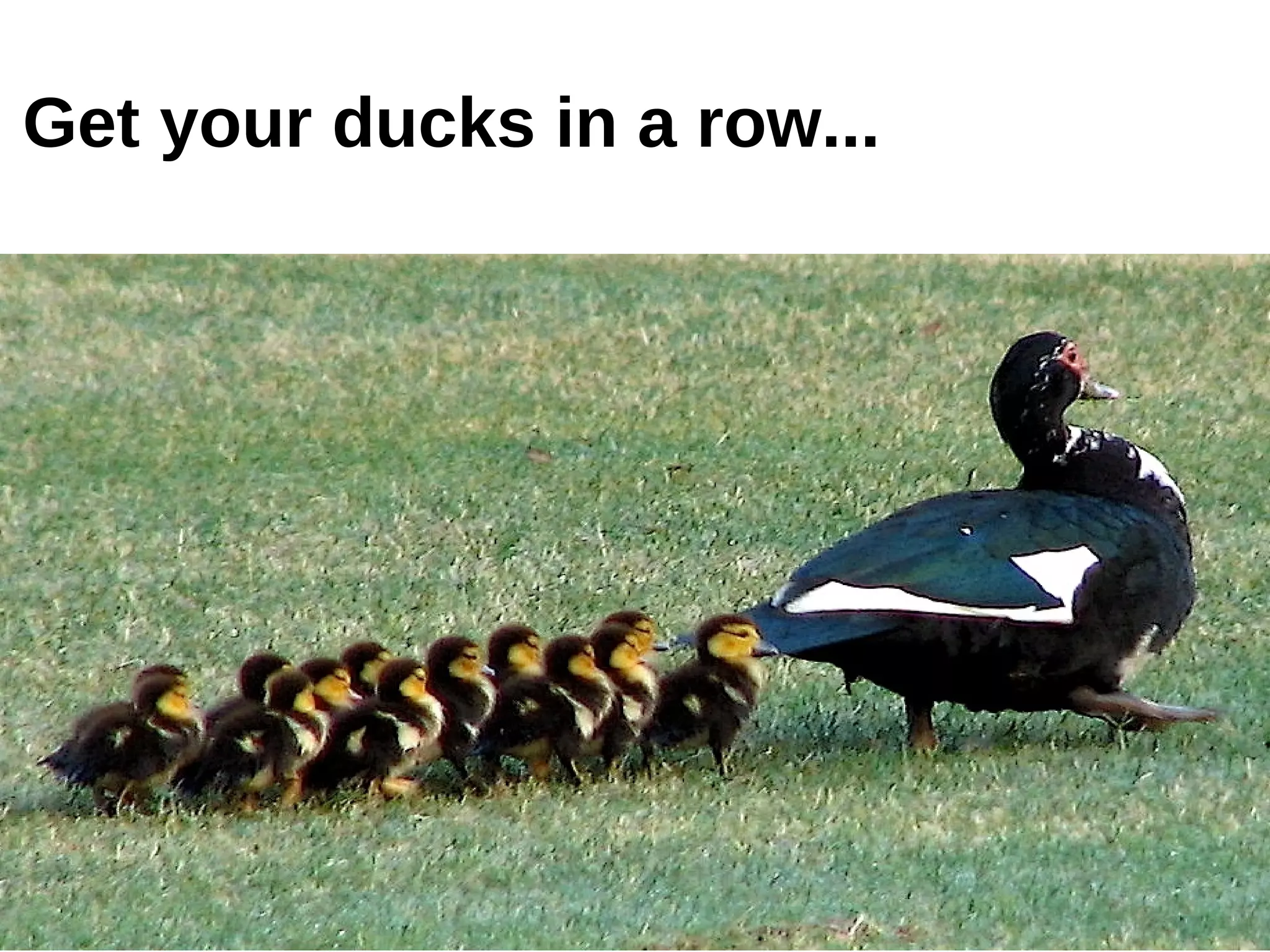 Get your ducks in a row...
 