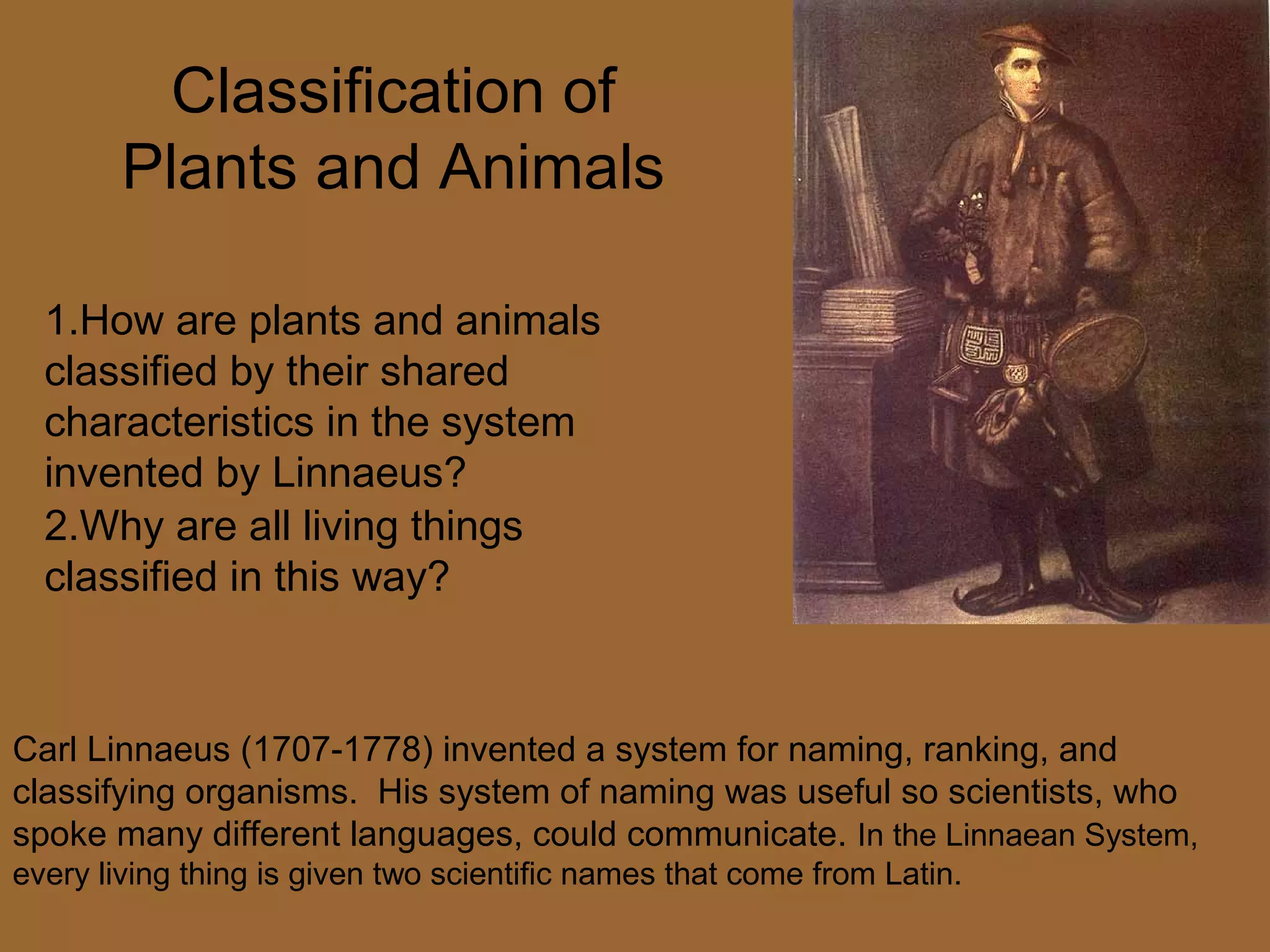 Classification of
        Plants and Animals

  1.How are plants and animals
  classified by their shared
  characteristics in the system
  invented by Linnaeus?
  2.Why are all living things
  classified in this way?



Carl Linnaeus (1707-1778) invented a system for naming, ranking, and
classifying organisms. His system of naming was useful so scientists, who
spoke many different languages, could communicate. In the Linnaean System,
every living thing is given two scientific names that come from Latin.
 