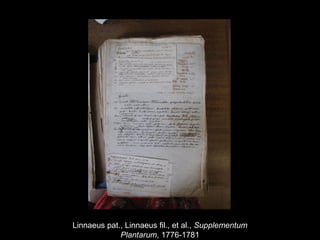 Linnaeus pat., Linnaeus fil., et al., Supplementum
Plantarum, 1776-1781
 