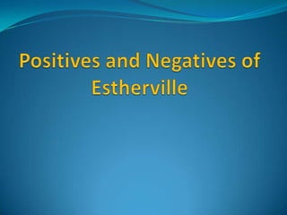 Positives and Negatives of Estherville 