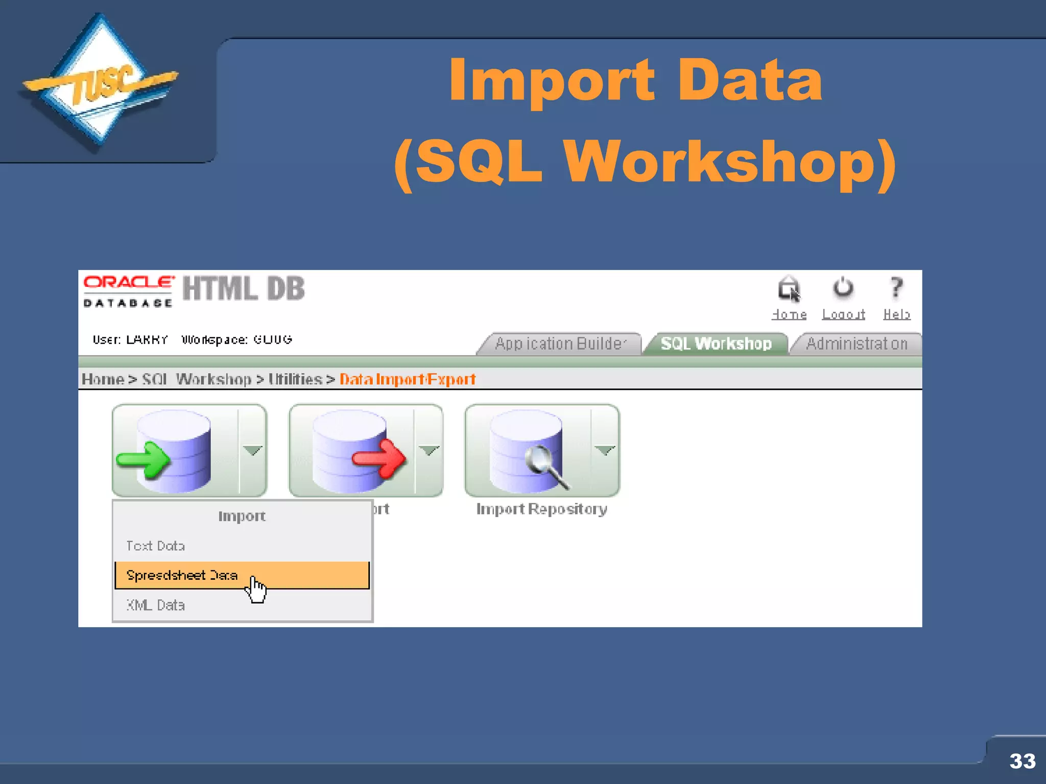Import Data (SQL Workshop) 