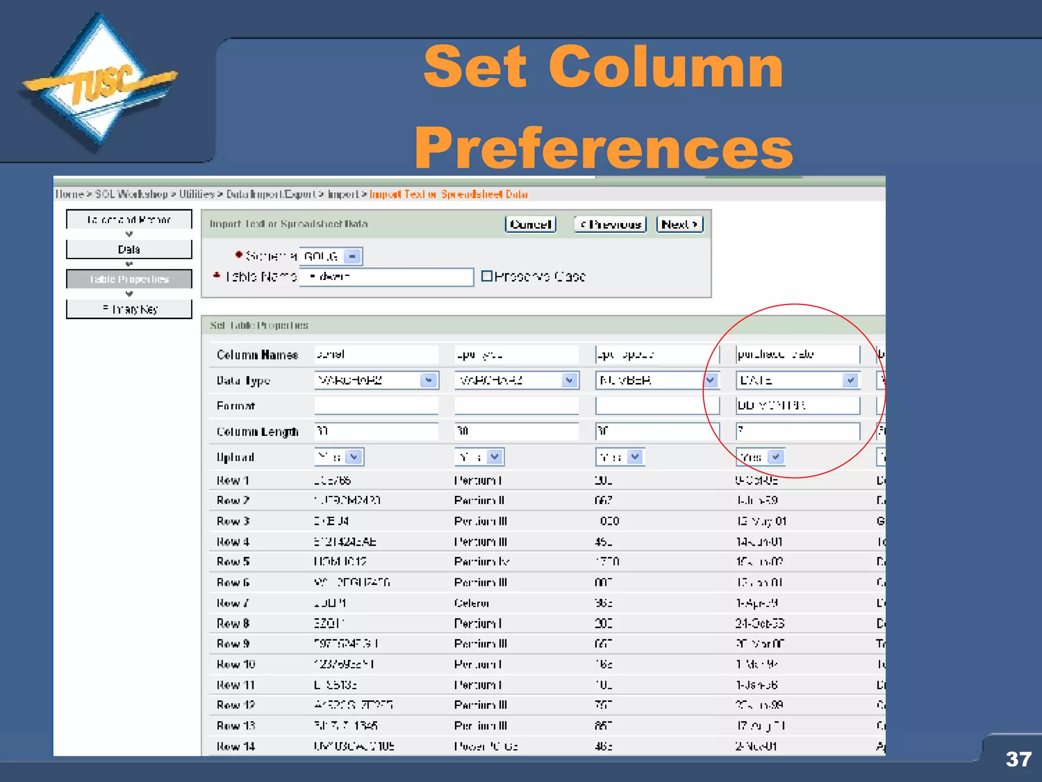 Set Column Preferences 