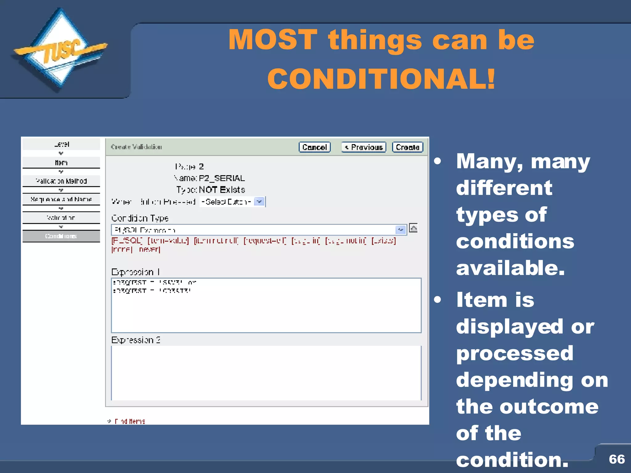 MOST things can be CONDITIONAL! Many, many different types of conditions available. Item is displayed or processed depending on the outcome of the condition. 