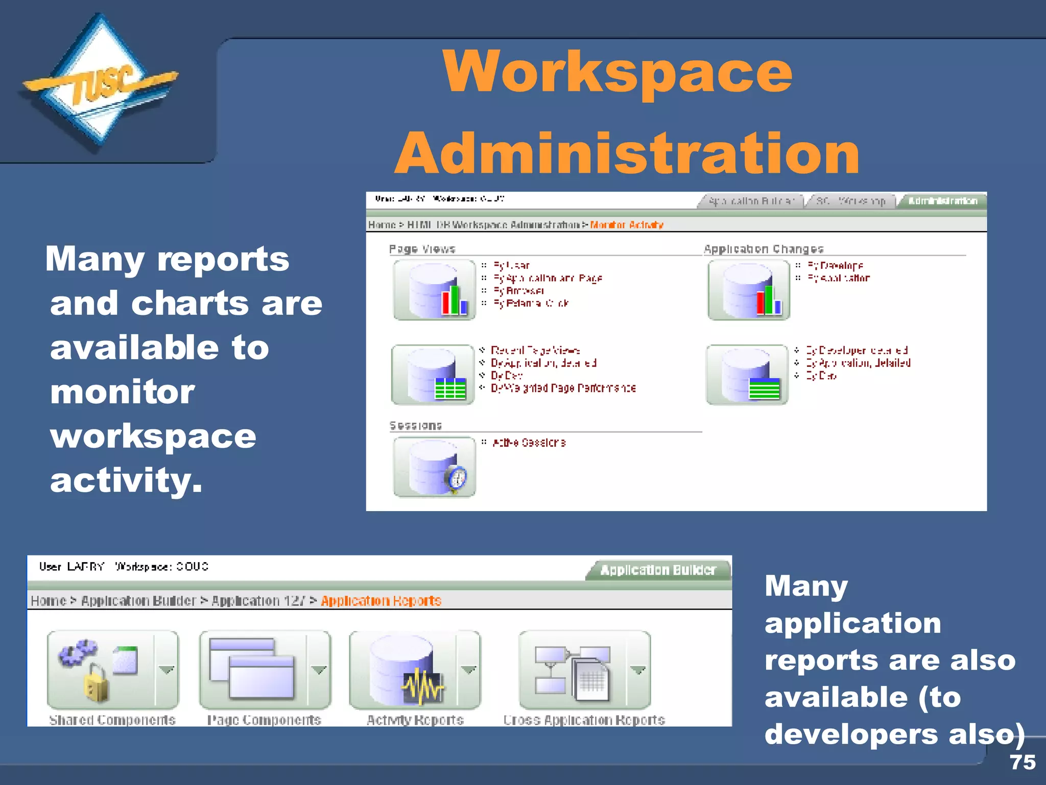 Workspace Administration Many reports and charts are available to monitor workspace activity. Many application reports are also available (to developers also) 