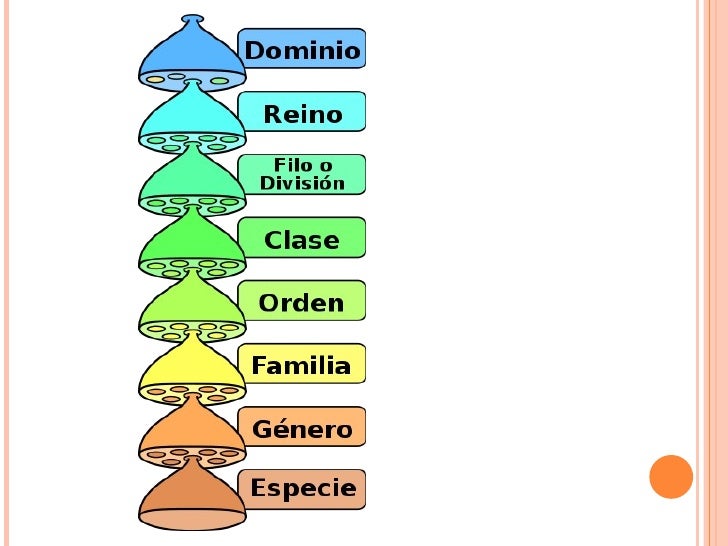 Imagen relacionada