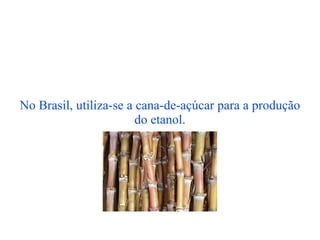 No Brasil, utiliza-se a cana-de-açúcar para a produção do etanol. 