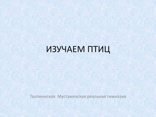 ИЗУЧАЕМ ПТИЦ



Таллиннская Мустамяэская реальная гимназия
 