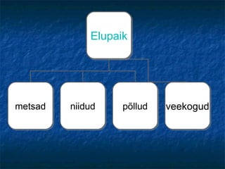 ElupaikElupaik
metsadmetsad niidudniidud põlludpõllud veekogudveekogud
 
