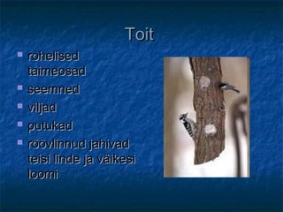ToitToit
 rohelisedrohelised
taimeosadtaimeosad
 seemnedseemned
 viljadviljad
 putukadputukad
 röövlinnud jahivadröövlinnud jahivad
teisi linde ja väikesiteisi linde ja väikesi
loomiloomi
 
