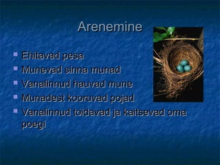 ArenemineArenemine
 Ehitavad pesaEhitavad pesa
 Munevad sinna munadMunevad sinna munad
 Vanalinnud hauvad muneVanalinnud hauvad mune
 Munadest kooruvad pojadMunadest kooruvad pojad
 Vanalinnud toidavad ja kaitsevad omaVanalinnud toidavad ja kaitsevad oma
poegipoegi
 