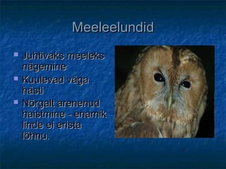 MeeleelundidMeeleelundid
 Juhtivaks meeleksJuhtivaks meeleks
nägeminenägemine
 Kuulevad vägaKuulevad väga
hästihästi
 Nõrgalt arenenudNõrgalt arenenud
haistmine - enamikhaistmine - enamik
linde ei eristalinde ei erista
lõhnu.lõhnu.
 