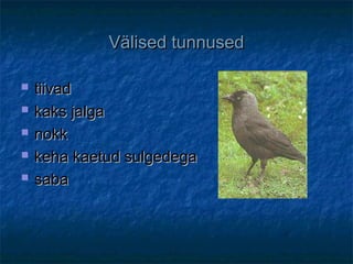 Välised tunnusedVälised tunnused
 tiivadtiivad
 kaks jalgakaks jalga
 nokknokk
 keha kaetud sulgedegakeha kaetud sulgedega
 sabasaba
 