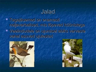 JaladJalad
 Tagajäsemed on enamastiTagajäsemed on enamasti
neljavarbalised, mis lõpevad küünisteganeljavarbalised, mis lõpevad küünistega
 Veelindudele on ujumisel abiks varvasteVeelindudele on ujumisel abiks varvaste
vahel asuvad ujulestadvahel asuvad ujulestad
 
