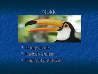 NokkNokk
 Hangib saakiHangib saaki
 Kaitseb ennastKaitseb ennast
 Hambad puuduvadHambad puuduvad
 
