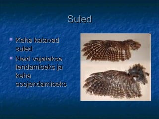 SuledSuled
 Keha katavadKeha katavad
suledsuled
 Neid vajatakseNeid vajatakse
lendamiseks jalendamiseks ja
kehakeha
soojendamisekssoojendamiseks
 
