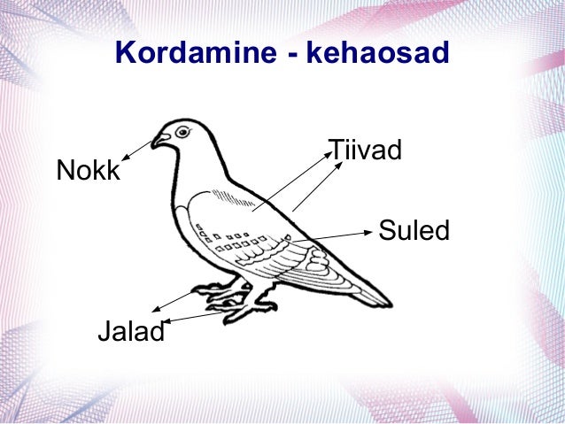 Linnu kehaosad