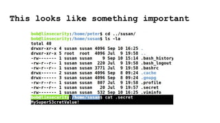 Linux Privilege Escalation with Lin Security. | PDF