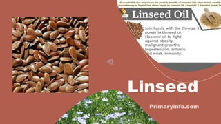 Linseed
 
