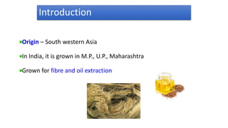Linseed cultivation practices in rabi.pptx