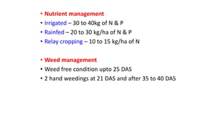 Linseed cultivation practices in rabi.pptx