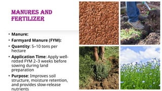 Fym Well Rotted Scientific Cultivation of linseed crop__ | PPTX