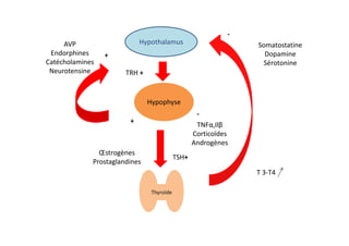 -
     AVP                    Hypothalamus                        Somatostatine
 Endorphines     +                                                Dopamine
Catécholamines                                                   Sérotonine
 Neurotensine          TRH +


                               Hypophyse
                                                   -
                        +
                                                   TNFα,Ilβ
                                                  Corticoïdes
                                                  Androgènes
               Œstrogènes
                                           TSH+
             Prostaglandines
                                                                T 3-T4

                                Thyroïde
 