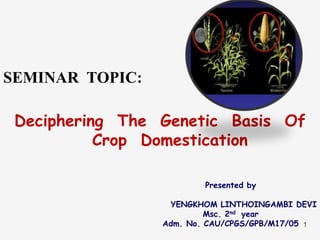 SEMINAR TOPIC:
Deciphering The Genetic Basis Of
Crop Domestication
1
Presented by
YENGKHOM LINTHOINGAMBI DEVI
Msc. 2nd year
Adm. No. CAU/CPGS/GPB/M17/05
 