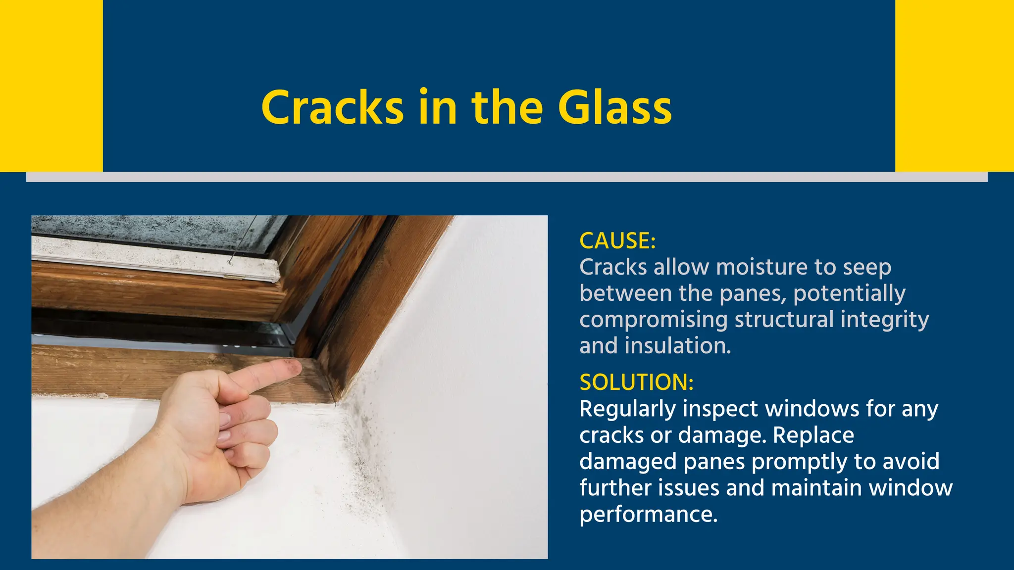 Cracks in the Glass
CAUSE:
Cracks allow moisture to seep
between the panes, potentially
compromising structural integrity
and insulation.
SOLUTION:
Regularly inspect windows for any
cracks or damage. Replace
damaged panes promptly to avoid
further issues and maintain window
performance.
 
